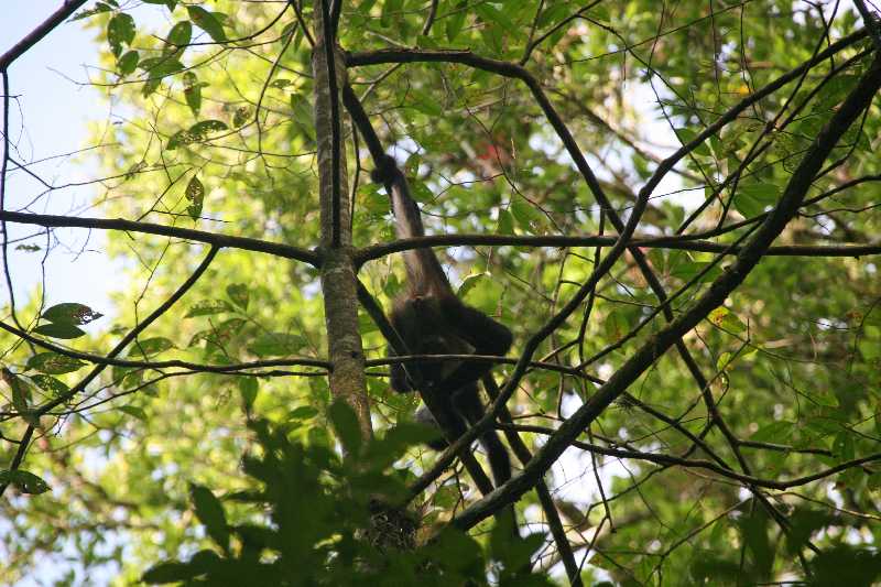 Mexico & Guatemala 2010 - 1067